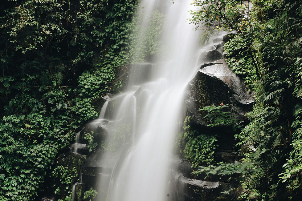 Image by Wijaya Kusuma