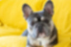 Dan Blackburn, Unsplash