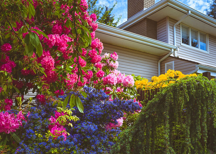 flowers in front yard, landscape maintenance, VIP Landscaping, landscaping services