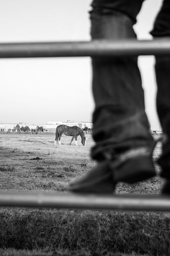 Image by Colton Jones