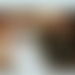 The Other End of the Lead: the human element of my job