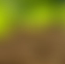 Planting Spacing Calculator