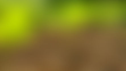 Planting Spacing Calculator