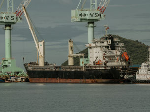 Ropný trh na konci roku 2024