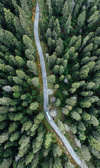 Theta Wave Hypnosis | Hypnotherapy, Therapy, Counciling | Online Sessions | Anxiety & Depression, Past & Present Trauma, Addiction & Habits, Limiting Beliefs