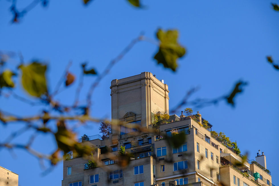 Modern Upper East Side apartment building with landscaped terraces framed by softly blurred tree branches against a clear blue sky