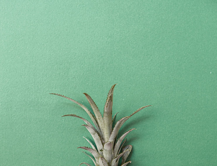 Ciuffo ananas su sfondo verde