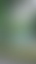 Cinco perguntas essenciais sobre sexo que todo casal deveria fazer