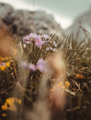 Image by Melina Kiefer