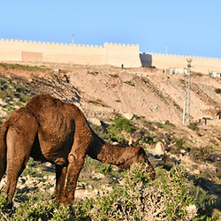 Kasbah Agadir Oufella History