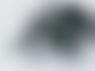 Creating the Perfect Enclosure for Your Jumping Spider