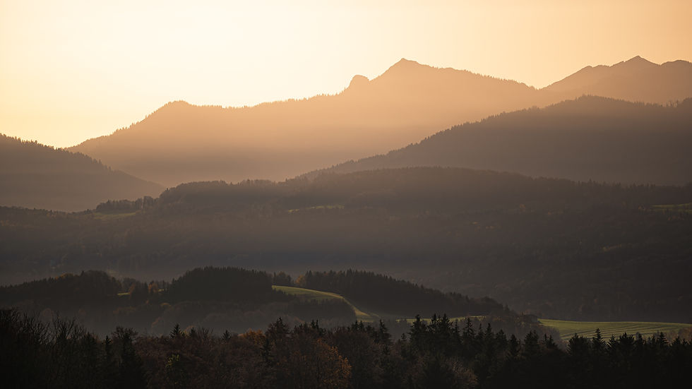 Der goldene Herbst - Yoga & Wandern mit Eva