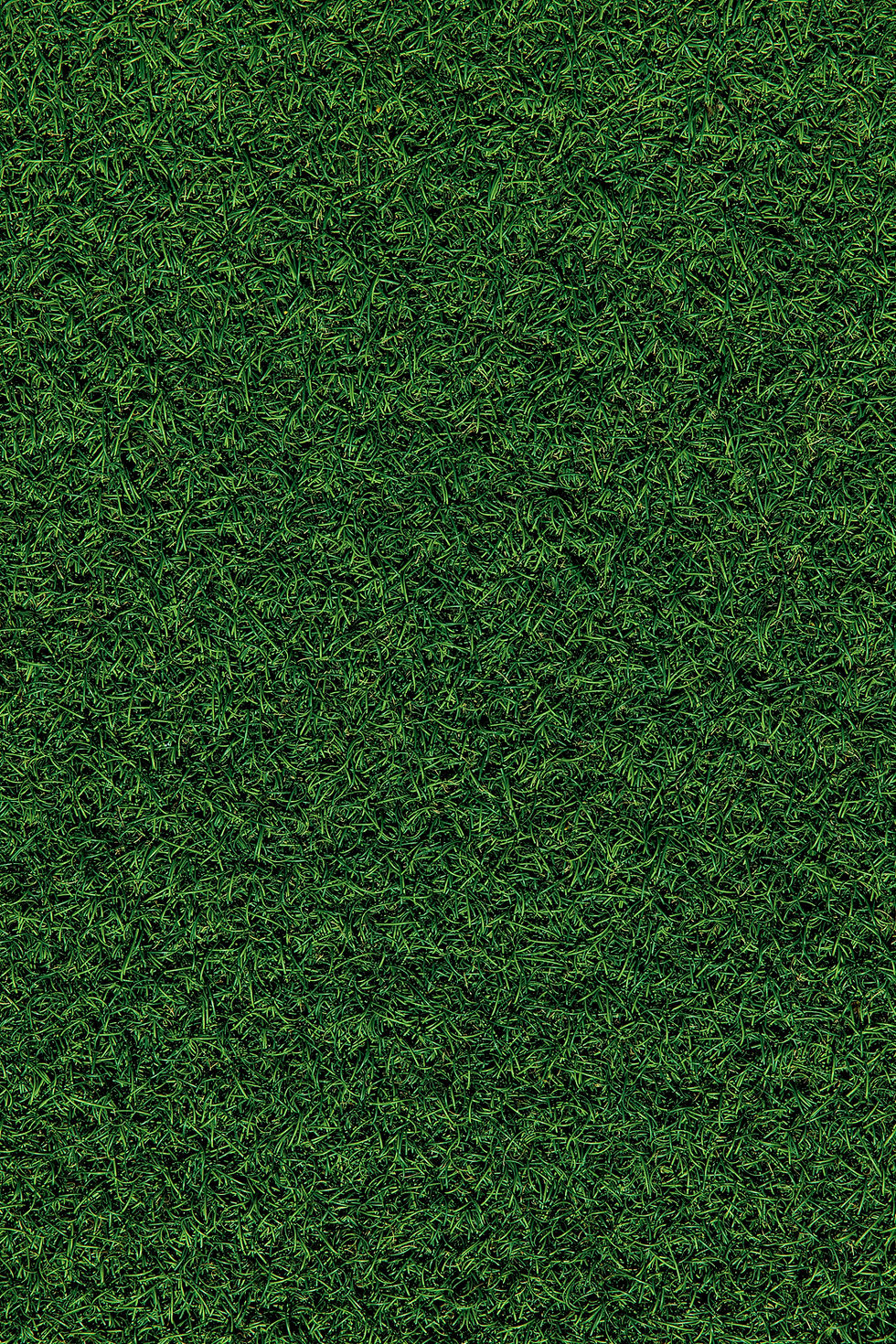 Lawn Social
