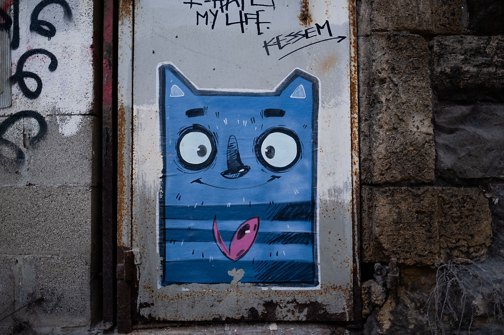 Image by Levi Meir Clancy