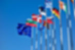 LLLP Reaction: Deepening problems for education and training: European Semester Country Specific Recommendations 2025
