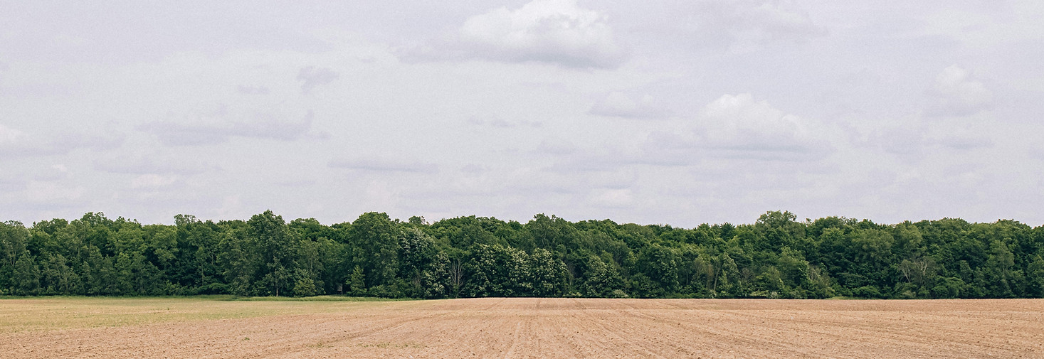 Image by Bruno Guerrero