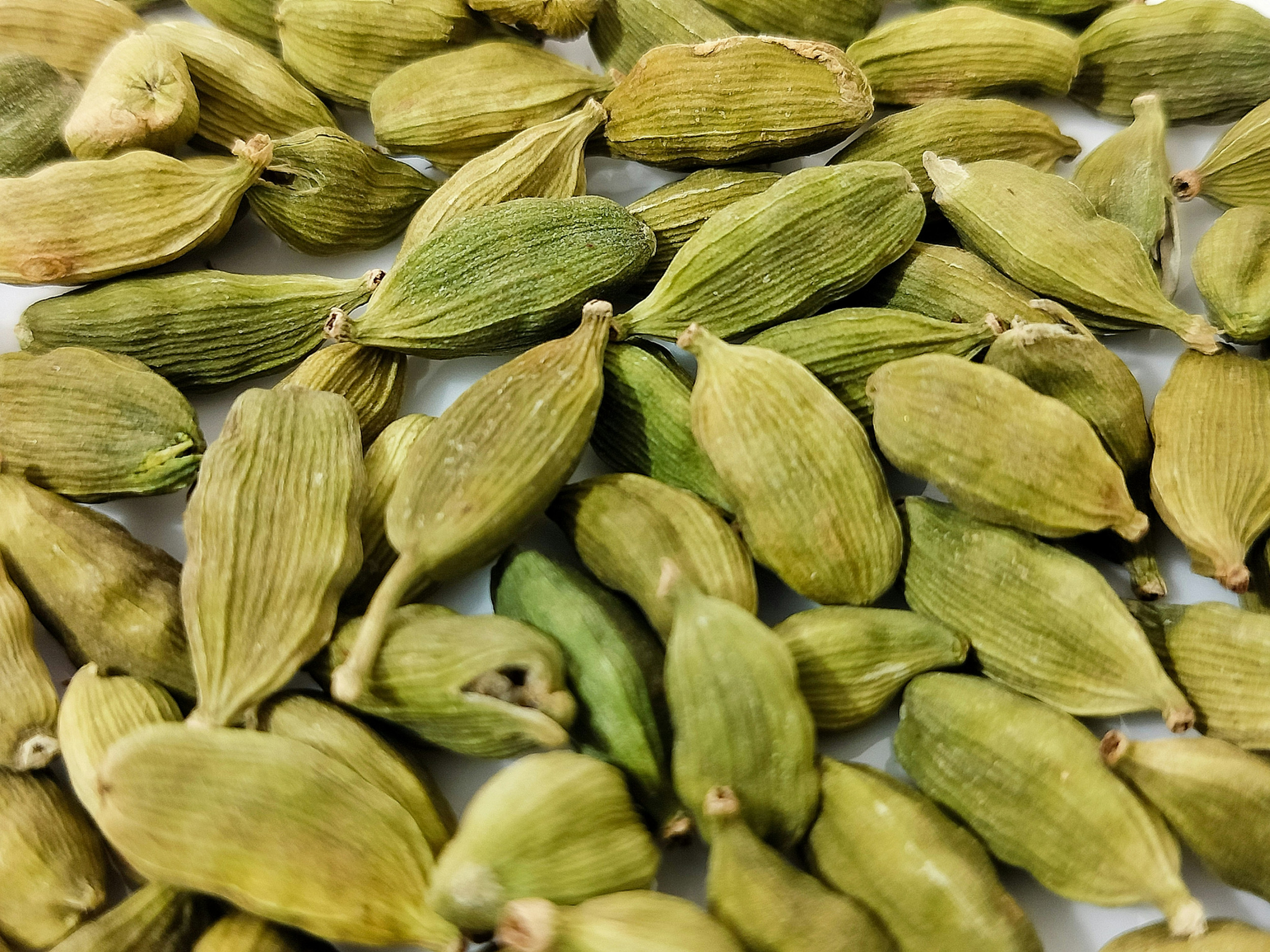 Spicy Notes Spicy Scent Notes in Perfume: What They Smell Like, How They’re Used ...
