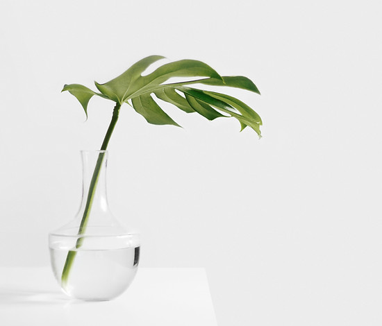 Image by Sarah Dorweiler