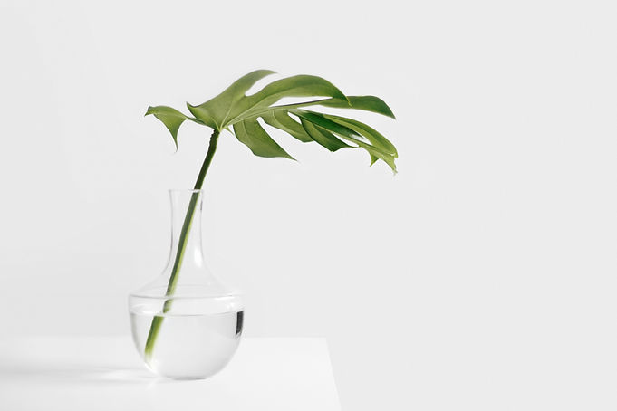 Image by Sarah Dorweiler