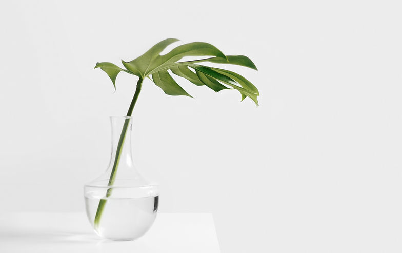 Image by Sarah Dorweiler