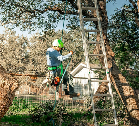 Image by Zack Masters