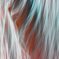 Image de Dave Hoefler