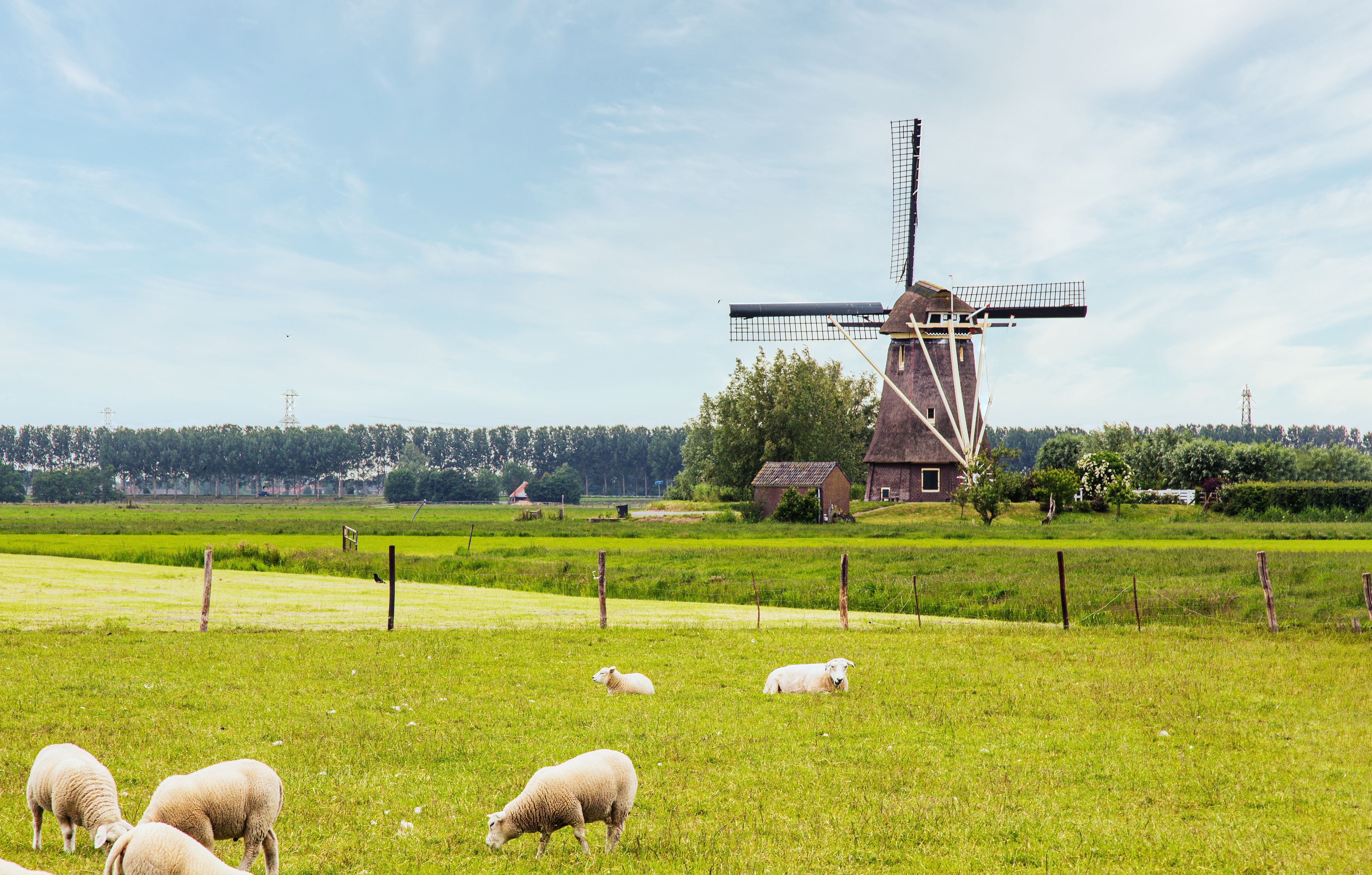 Netherlands 