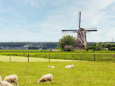 Van bouwadvies tot rechtszaal: hoe een boetebeding van € 87.500 in rook opging