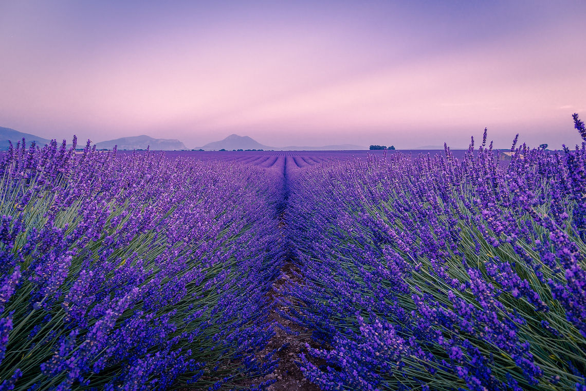 Image by Antony BEC