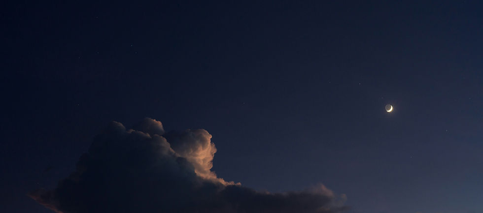 Image by David Docil