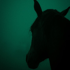Image by Fethi Benattallah