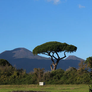 The Other Side of Naples: Hidden Streets & Quiet Views
