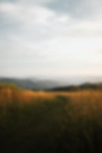 NC Wedding Video