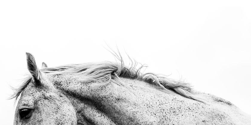 Image by Avi Theret
