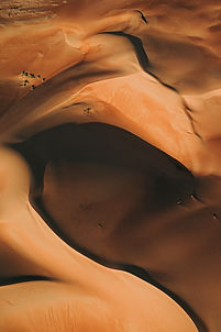 Image by Martin Sanchez
