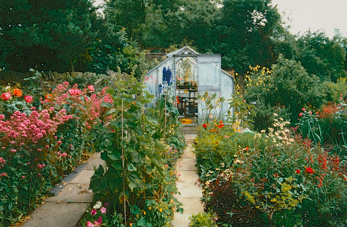 Image by Annie Spratt