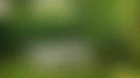 Créer un endroit ombragé pour votre salon de jardin