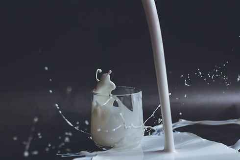 Dairy supplier in UAE