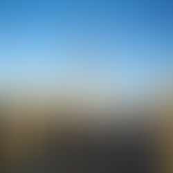 なぜドバイに企業が集まるのか?