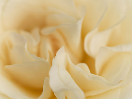 テモテの第一の手紙1章15節