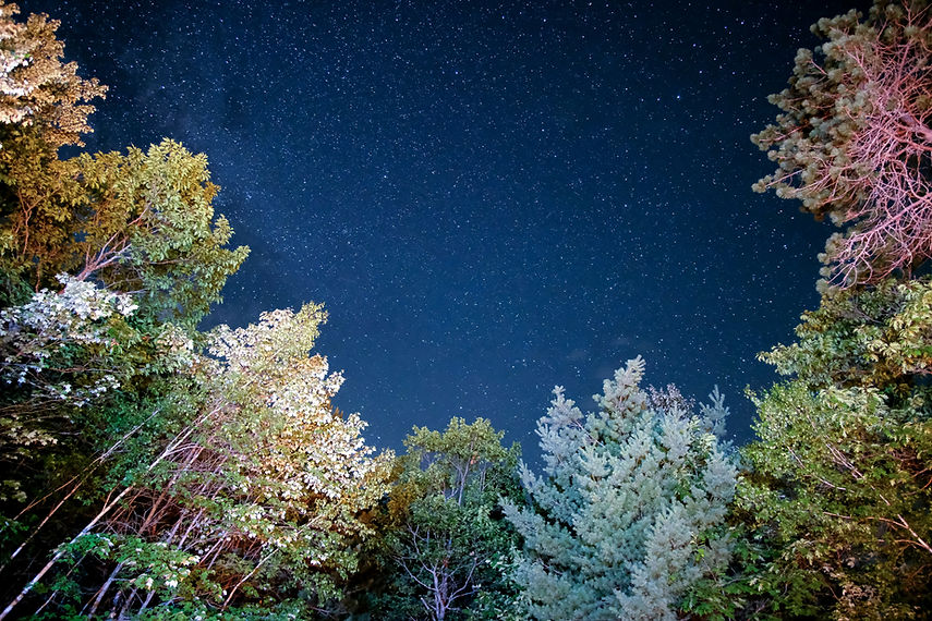 Image by Jeff Golenski