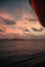 From cruise ship