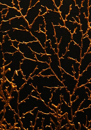Image by NIKHIL
