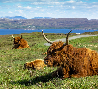 Image de Piotr Musioł