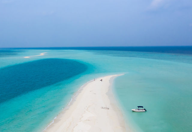 Blue Ocean