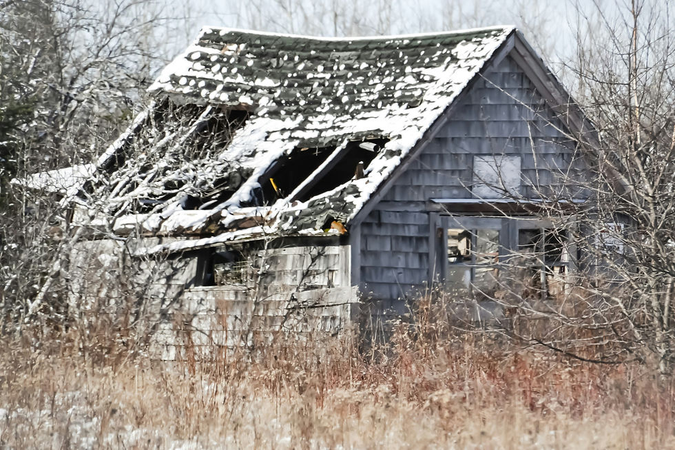 Dilapidated house with snow-covered roof in a barren field. Broken windows and bare trees suggest decay and abandonment in winter.