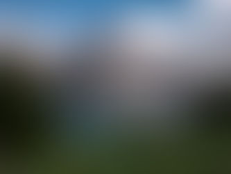 Unveiling the Key Benefits of Fiscal Representative Services in Switzerland for International Businesses