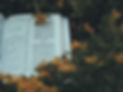 Image by Aaron Burden