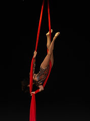 Aerial Silks for hire 