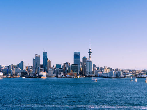 Why Auckland Sellers Are Cutting Asking Prices in 2025
